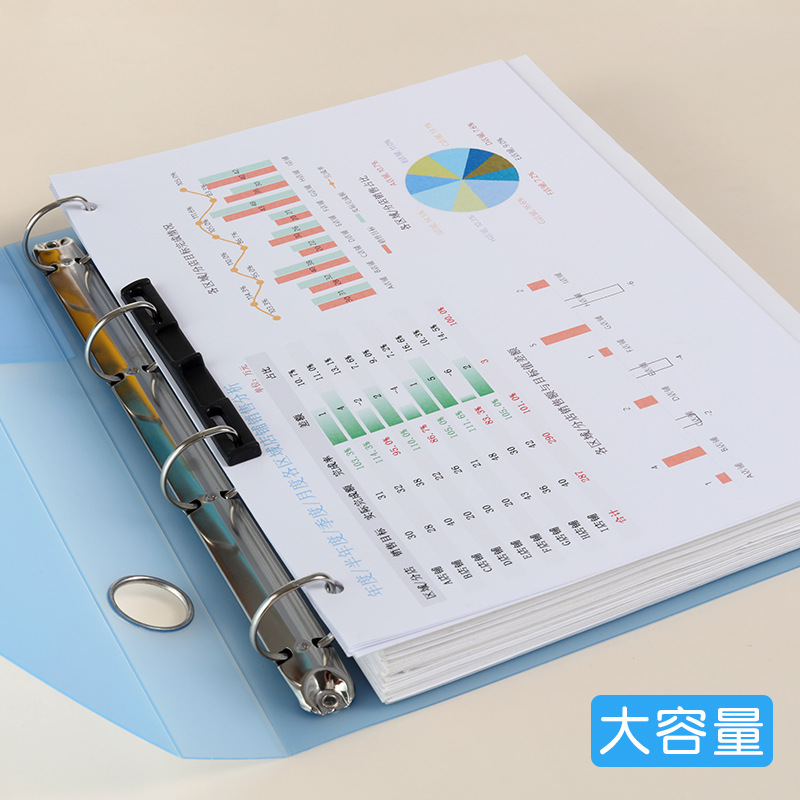 A4-ponsbinder met vier gaten,  - Binder A4 Lever recensie en prijs