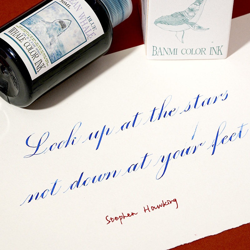 Banmi Whale Series Vulpeninkt  - Fountain Pen Bottled Ink recensie en prijs